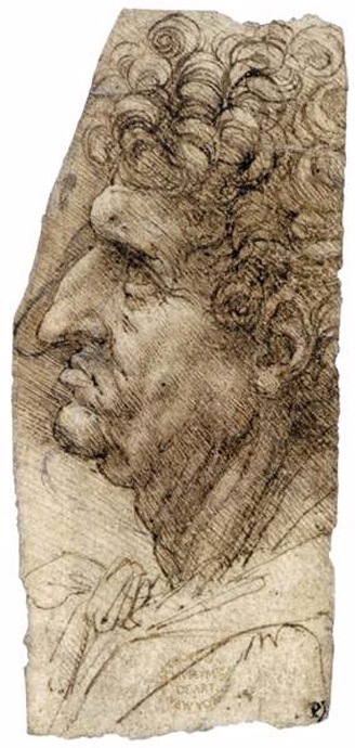 Head of a Man Facing to the Left: 1490-94