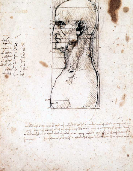 Male Head in Profile with Proportions: ca 1490