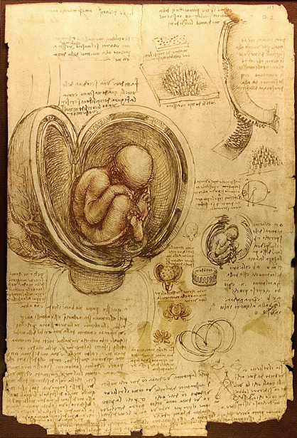 Studies of Embryos: 1510-13