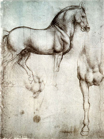 Study of a Horse from Leonardo's Journals