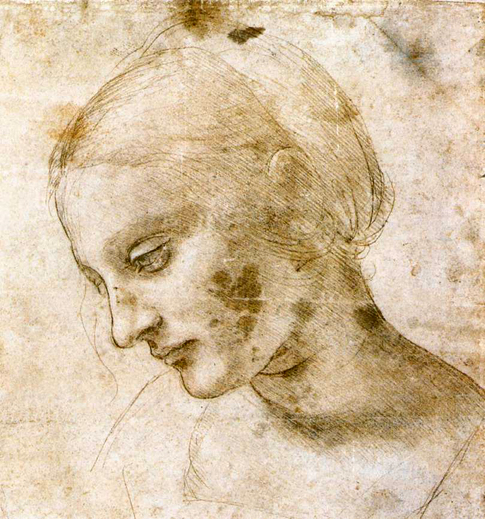 Study of a Woman's Head: ca 1490