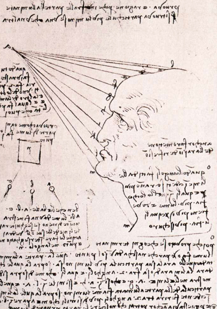 Study of the Effect of Light on a Profile Head (facsimile): 1487-90