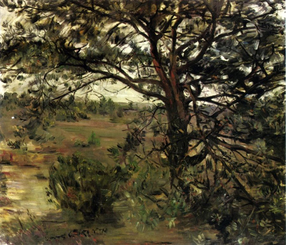 Luneberger Heide: 1908