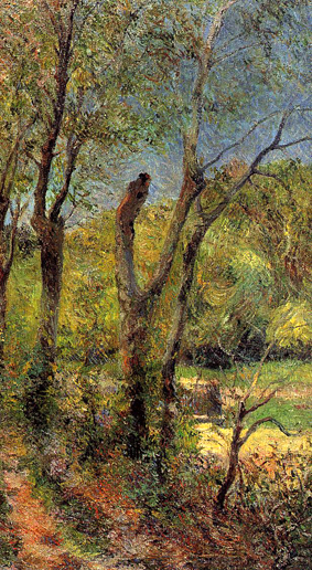 Willows: 1885