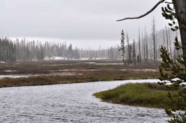 Yellowstone-Day One