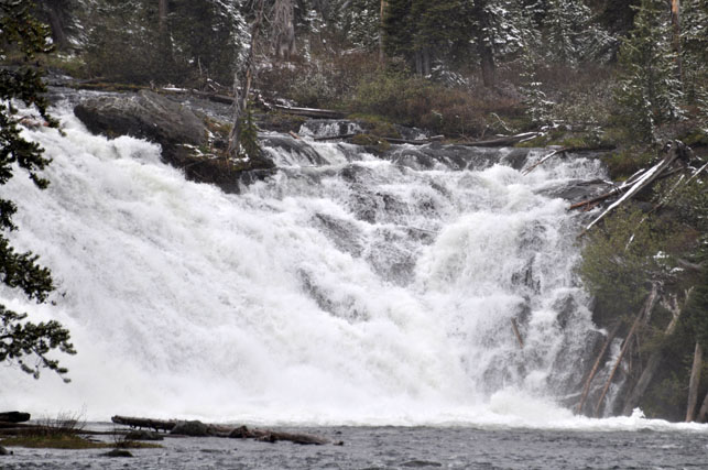 Yellowstone-Day One