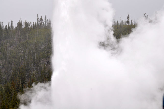 Yellowstone-Day One