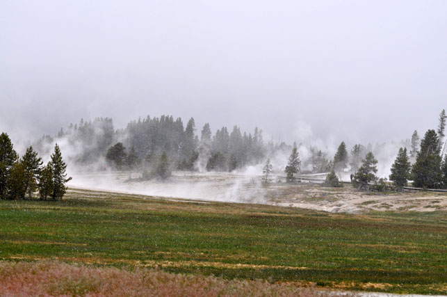 Yellowstone-Day One