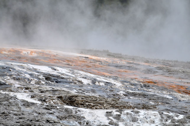 Yellowstone-Day One