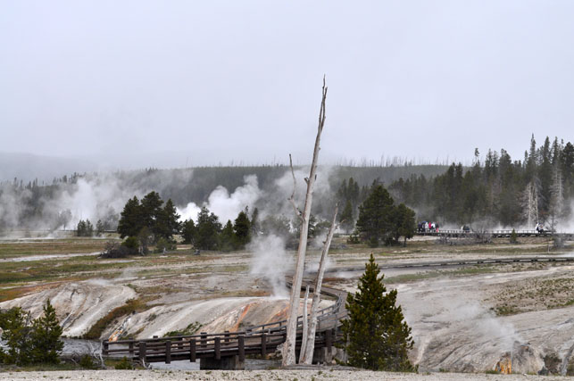 Yellowstone-Day One