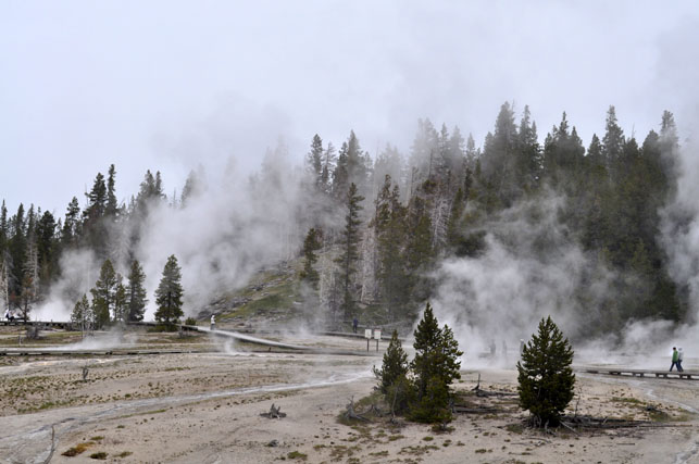 Yellowstone-Day One