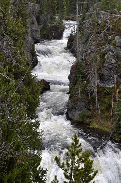 Kepler Cascades