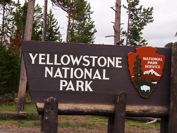 Yellowstone-Day One