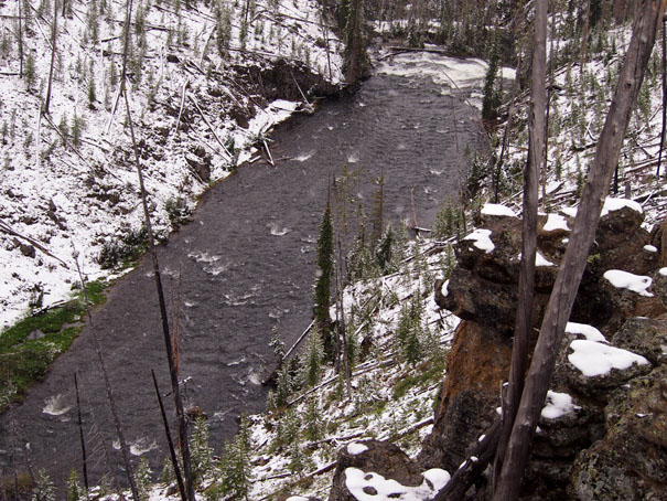 Yellowstone-Day One