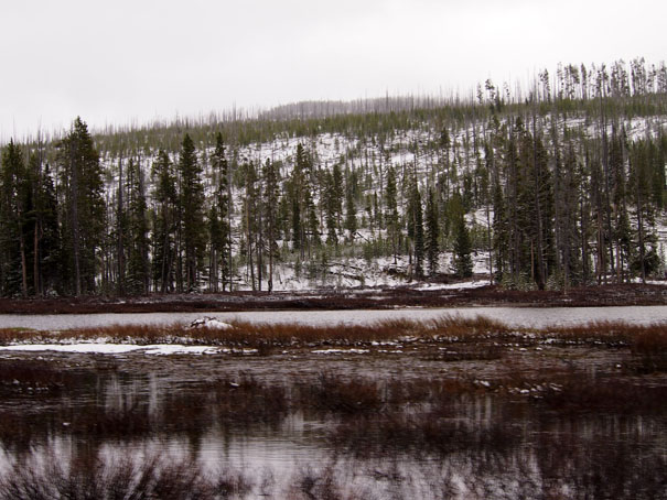 Yellowstone-Day One