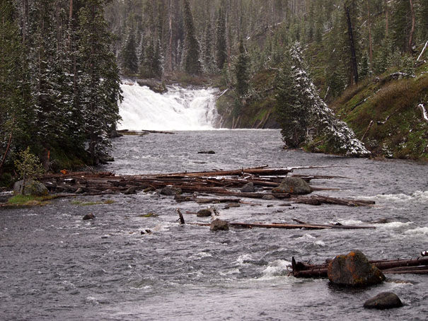 Yellowstone-Day One