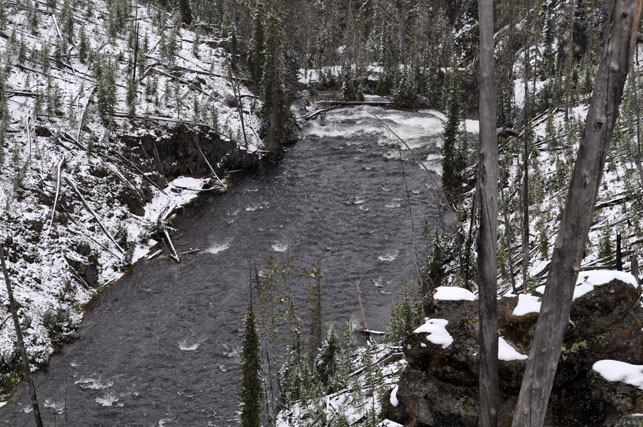 Yellowstone-Day_One_6