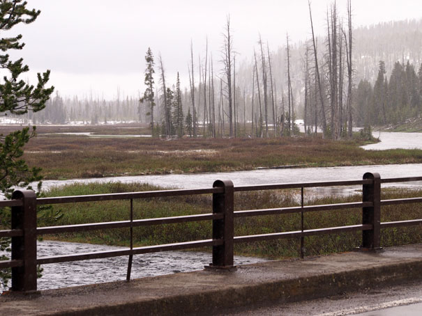 Yellowstone-Day One