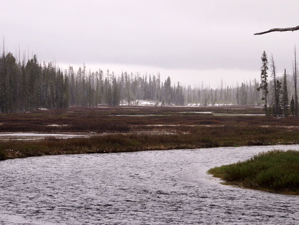 Yellowstone-Day One