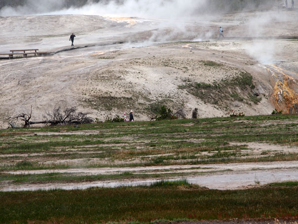 Yellowstone-Day One