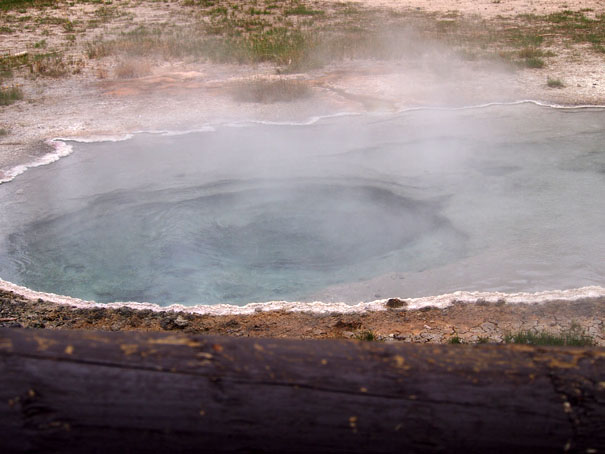 Crested Pool