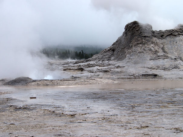 Crested Pool