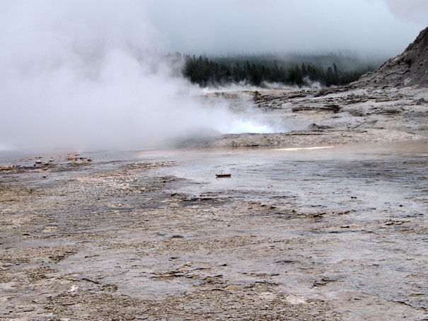 Crested Pool