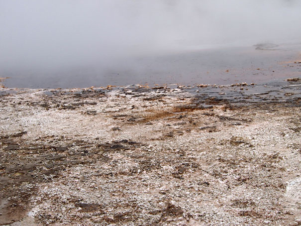 Crested Pool