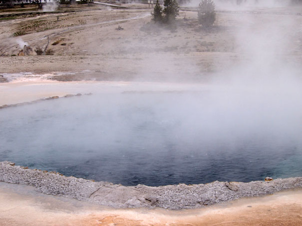 Crested Pool