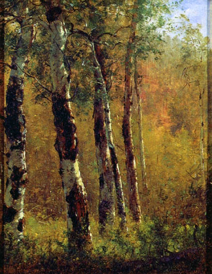 Birch Trees: ca 1872