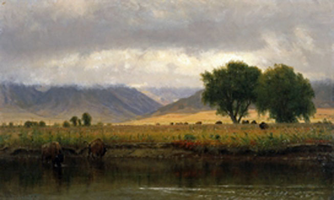 Buffalo on the Platte River: 1866