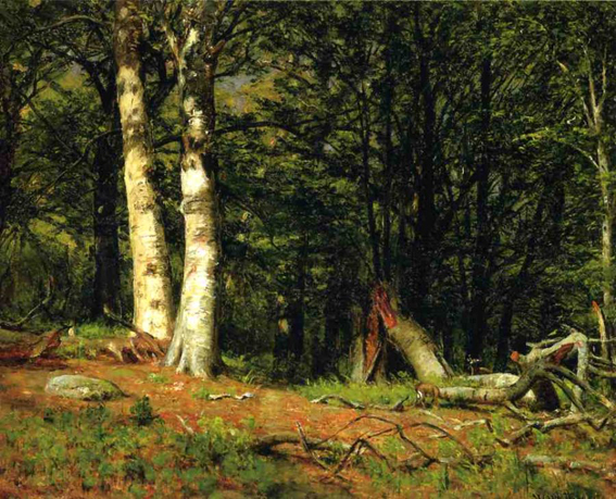 Fallen Birch: 1881