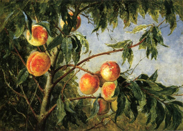 Peaches: 1894