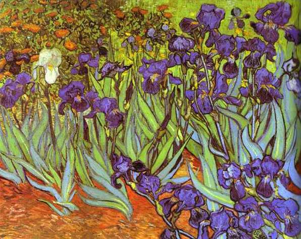 Irises: 1889