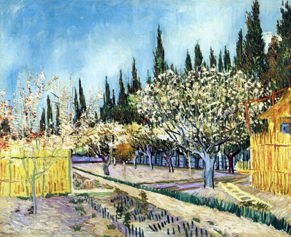 Orchard Surrounded by Cypresses: 1888