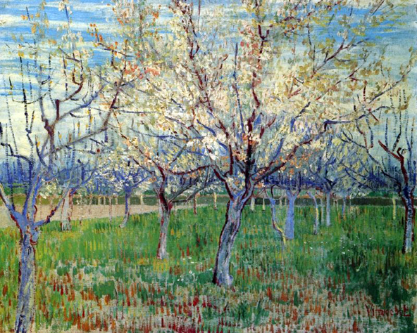 Orchard with Blossoming Apricot Trees: 1888