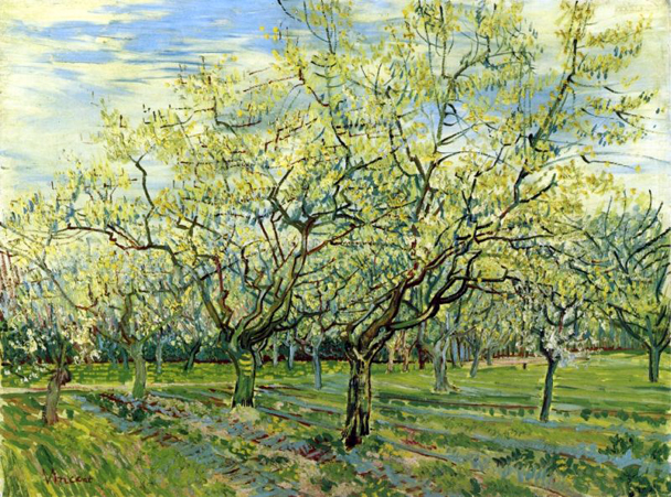 Orchard with Blossoming Plum Trees: 1888