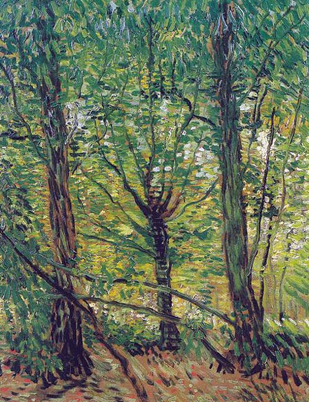 Trees and Underwood: 1887